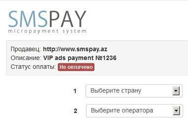 SMS платеж
